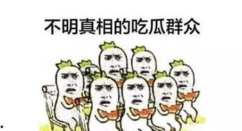 大网红吃瓜群众,揭秘网络红人的幕后故事