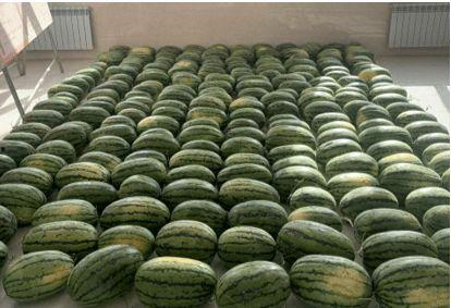 校园吃瓜围栏,揭秘校园八卦背后的故事