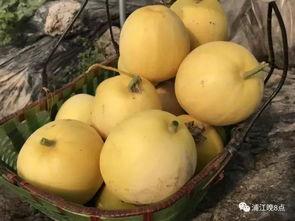 行健吃瓜,揭秘娱乐圈幕后故事