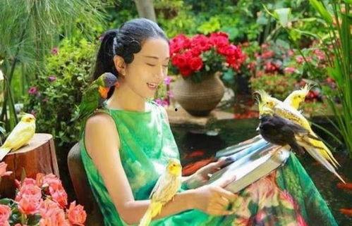 吃瓜仙镜,一场奇幻美食之旅