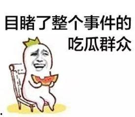 吃瓜群众小鲁,揭秘娱乐圈那些事儿