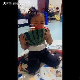 小孩吃瓜记视频,小孩吃瓜记的欢乐时光