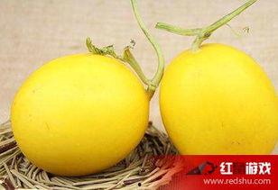 吃瓜喉咙不舒服,揭秘夏日消暑美食背后的健康隐患