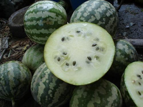 吃绿宝瓜长胖吗,吃它真的会长胖吗？揭秘真相