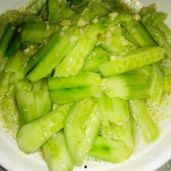 牛蛙吃瓜,探寻瓜果与牛蛙的完美邂逅