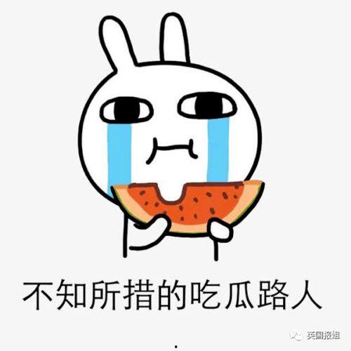 吃瓜不带粉籍谢谢