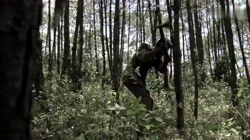 团长开局吃瓜被