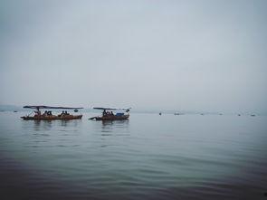 烟雨吃瓜客,揭秘娱乐圈背后的秘密与八卦
