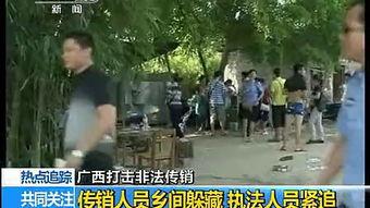 来宾吃瓜事件视频播放,一场网络直播的狂欢与反思